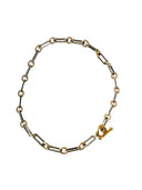 Long link Necklace