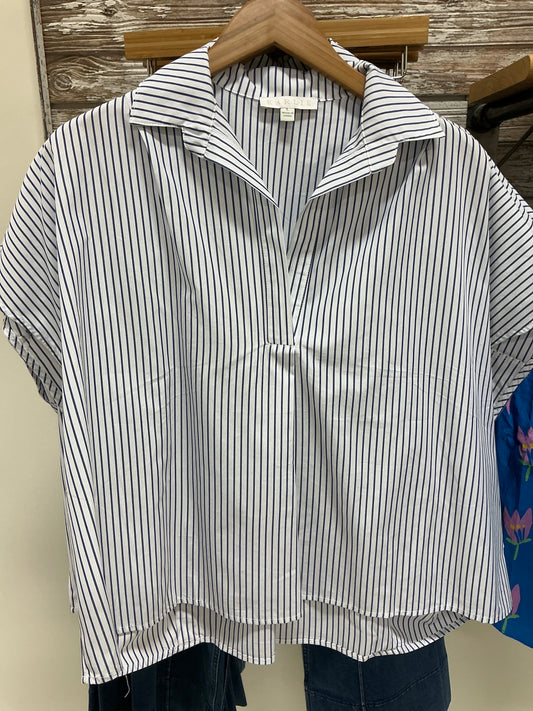 Stripe Classic Vneck Collar Top