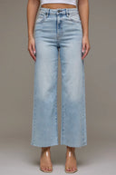 Hidden - Nori Light Wash Clean Stretch Wide Leg