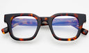 Atlas Blue Light Tortoise